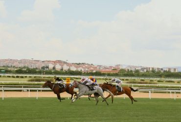 Photo by kübra zehra on Pexels