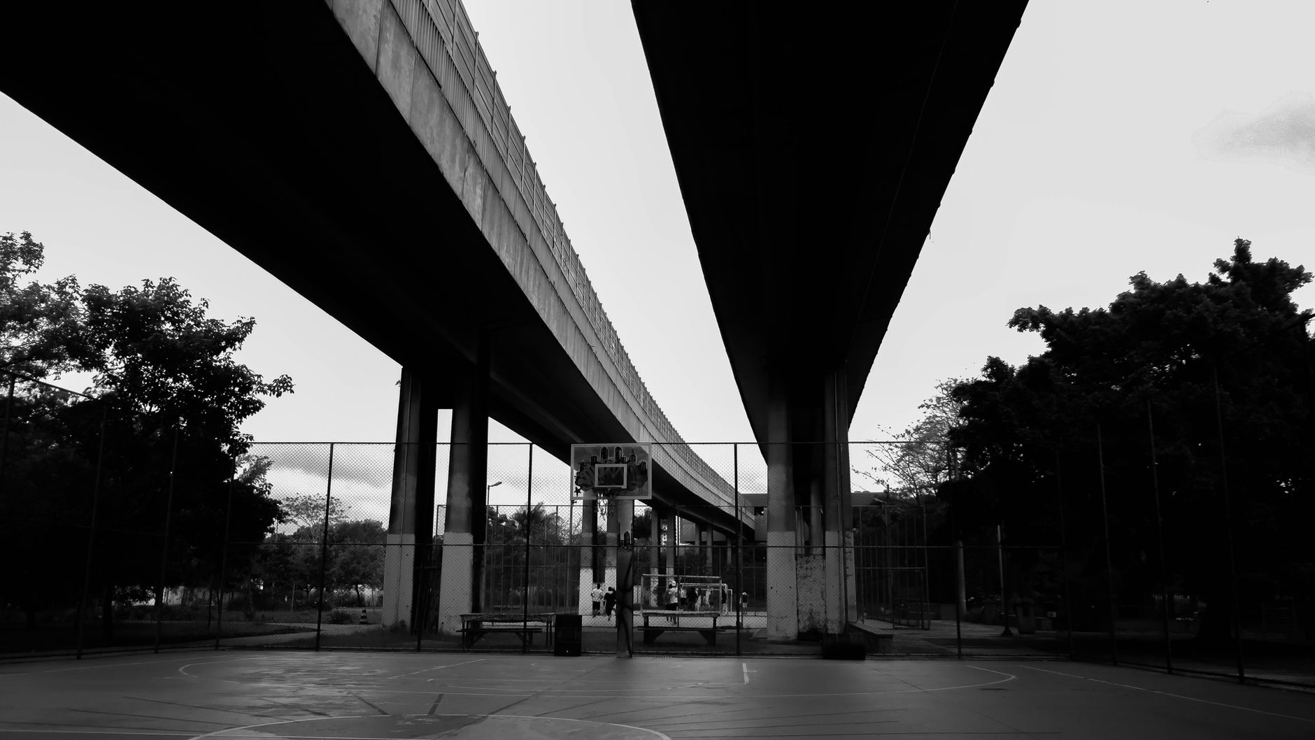 Photo by Wallace Chuck on Pexels