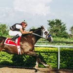 Photo by Jose Ricardo Barraza Morachis on Pexels