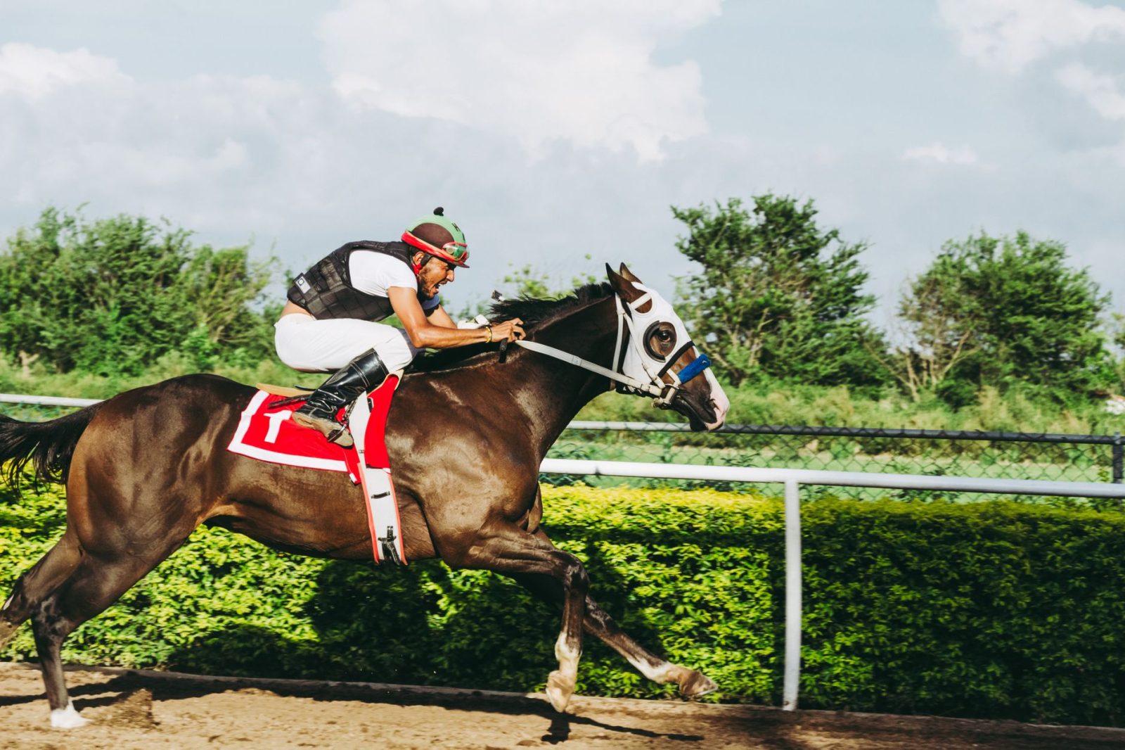 Photo by Jose Ricardo Barraza Morachis on Pexels