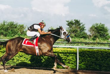 Photo by Jose Ricardo Barraza Morachis on Pexels