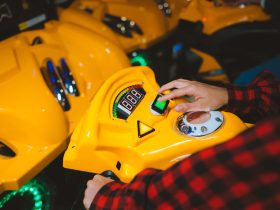 Photo by Anastasia Shuraeva on Pexels