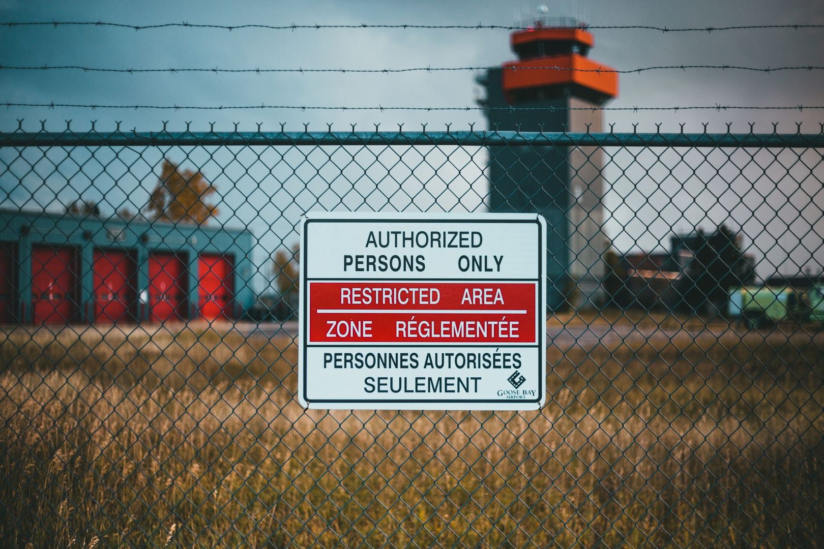 Photo by Erik Mclean on Pexels