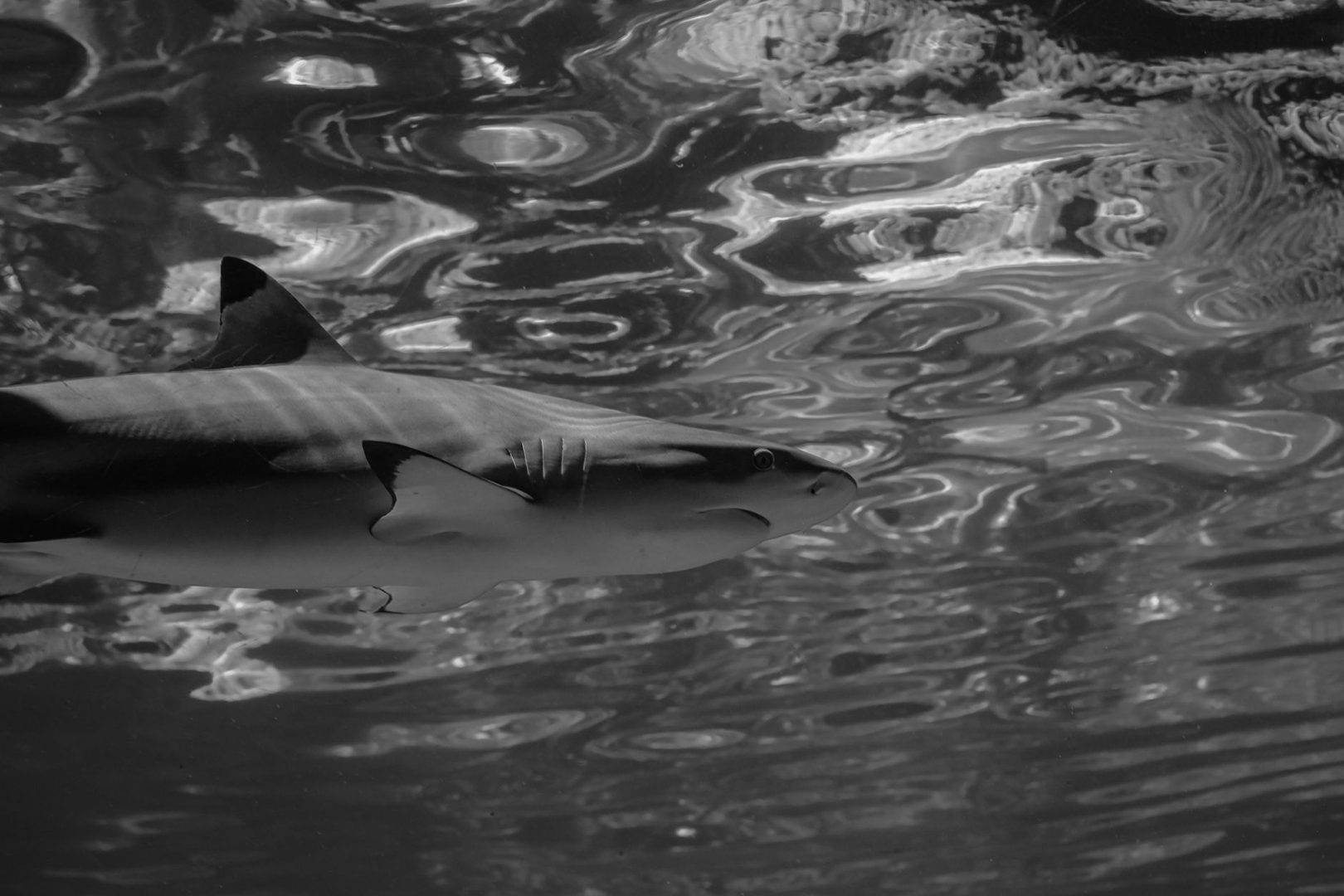 Photo by Valeriia Miller on Pexels