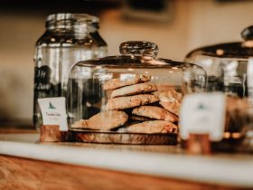 Photo by Og Mpango on Pexels
