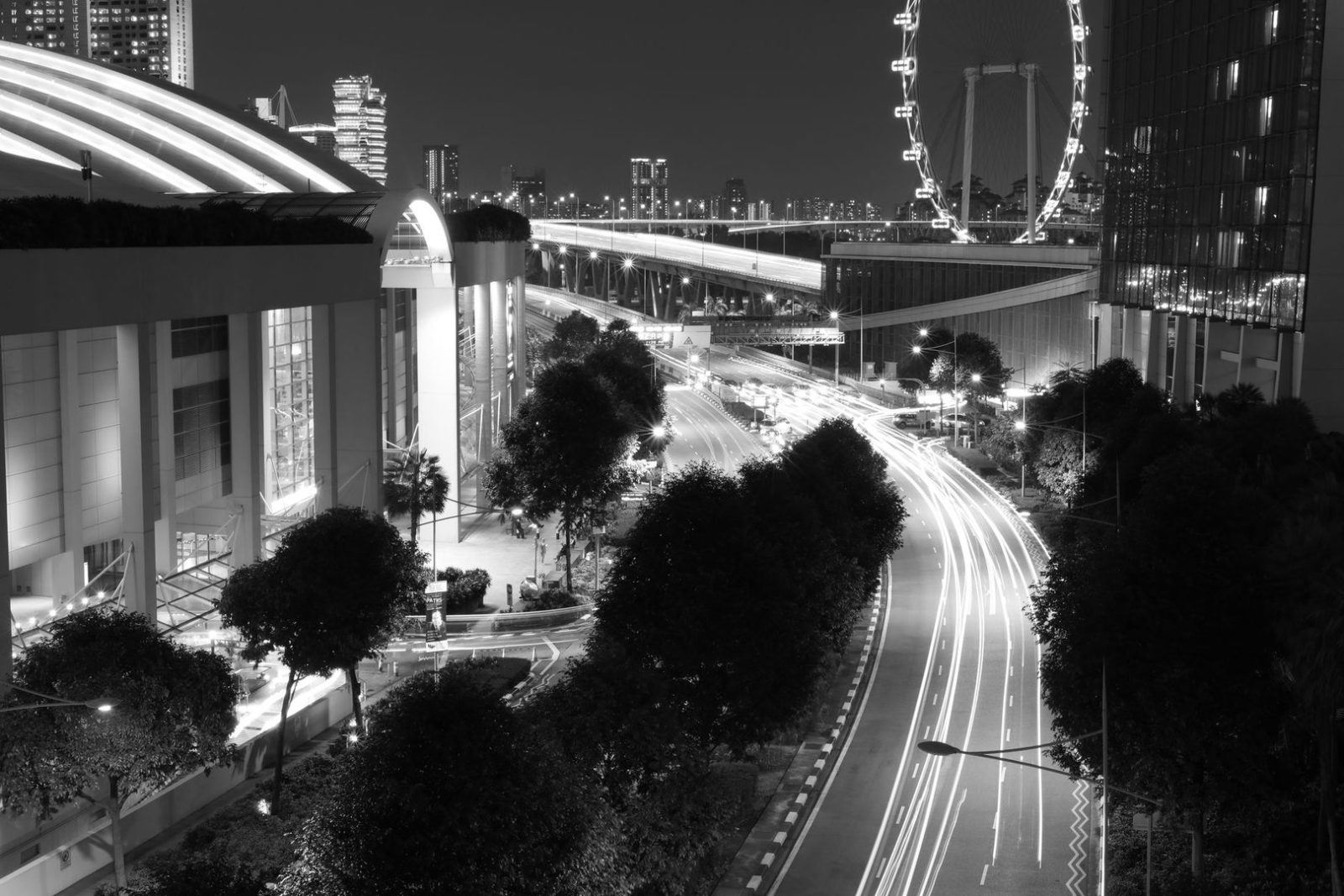 Photo by JINGBO XIA on Pexels