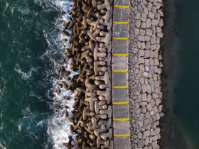 Photo by Samir Smier on Pexels